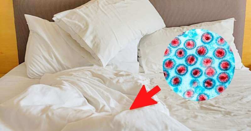 Cómo desinfectar la cama