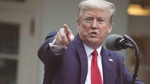 Trump califica de montaje la caída de un manifestante empujado por policías