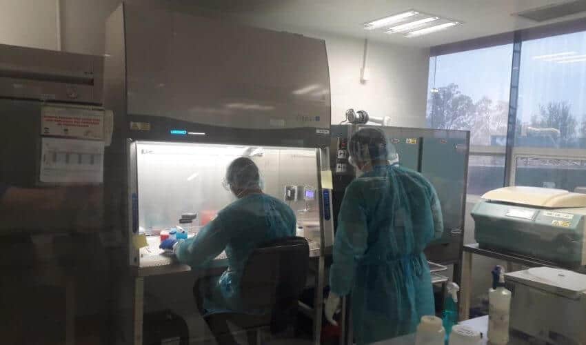 Covid-19 en Tamaulipas suma 302 nuevos casos, pide SST no relajar medidas preventivas