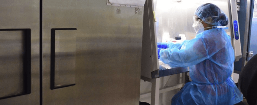 Exhorta SST a mantener medidas de seguridad sanitaria para avanzar hacia nueva realidad