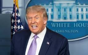 Trump sugiere repetir elecciones por posible fraude