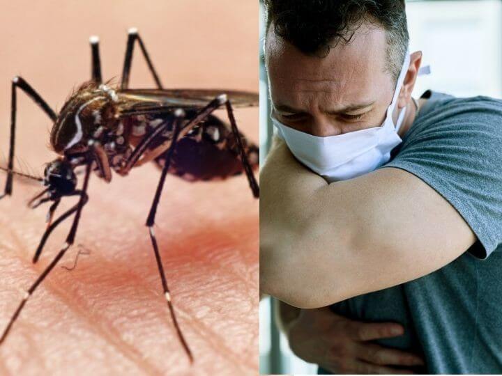 Sugiere estudio que dengue podría dar inmunidad frente al Covid-19
