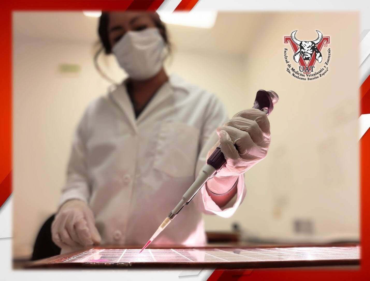 Reacredita SENASICA laboratorio de diagnóstico de la FMVZ-UAT