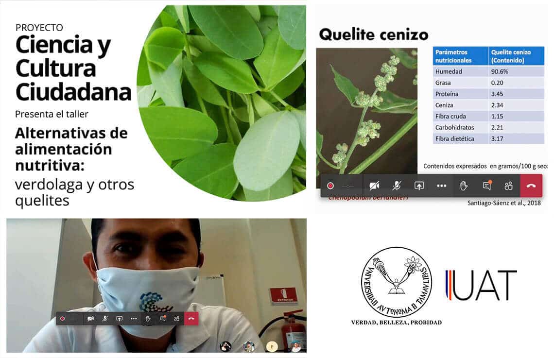 Destacan investigadores de la UAT importancia de la alimentación a base de verduras alternativas