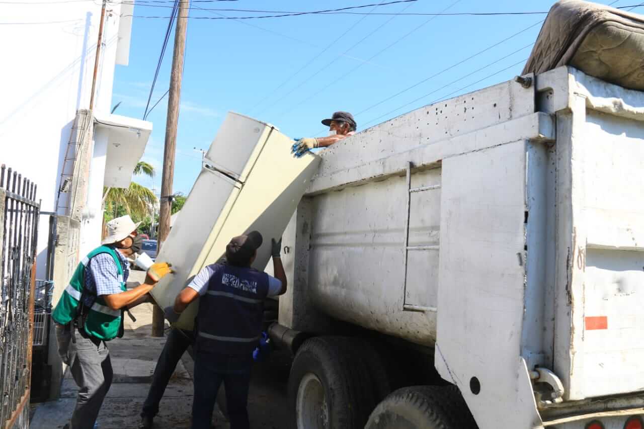 Municipio y victorenses hacen causa común contra el dengue