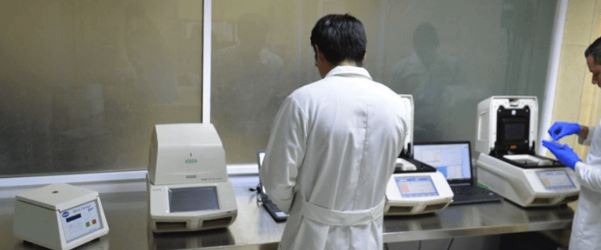 Tamaulipas requiere la participación ciudadana para enfrentar pandemia: Salud