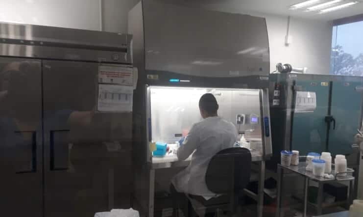 Insiste Salud en el uso obligatorio del cubrebocas para prevenir contagios de COVID-19