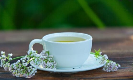 Ansiolíticos naturales para calmar la ansiedad