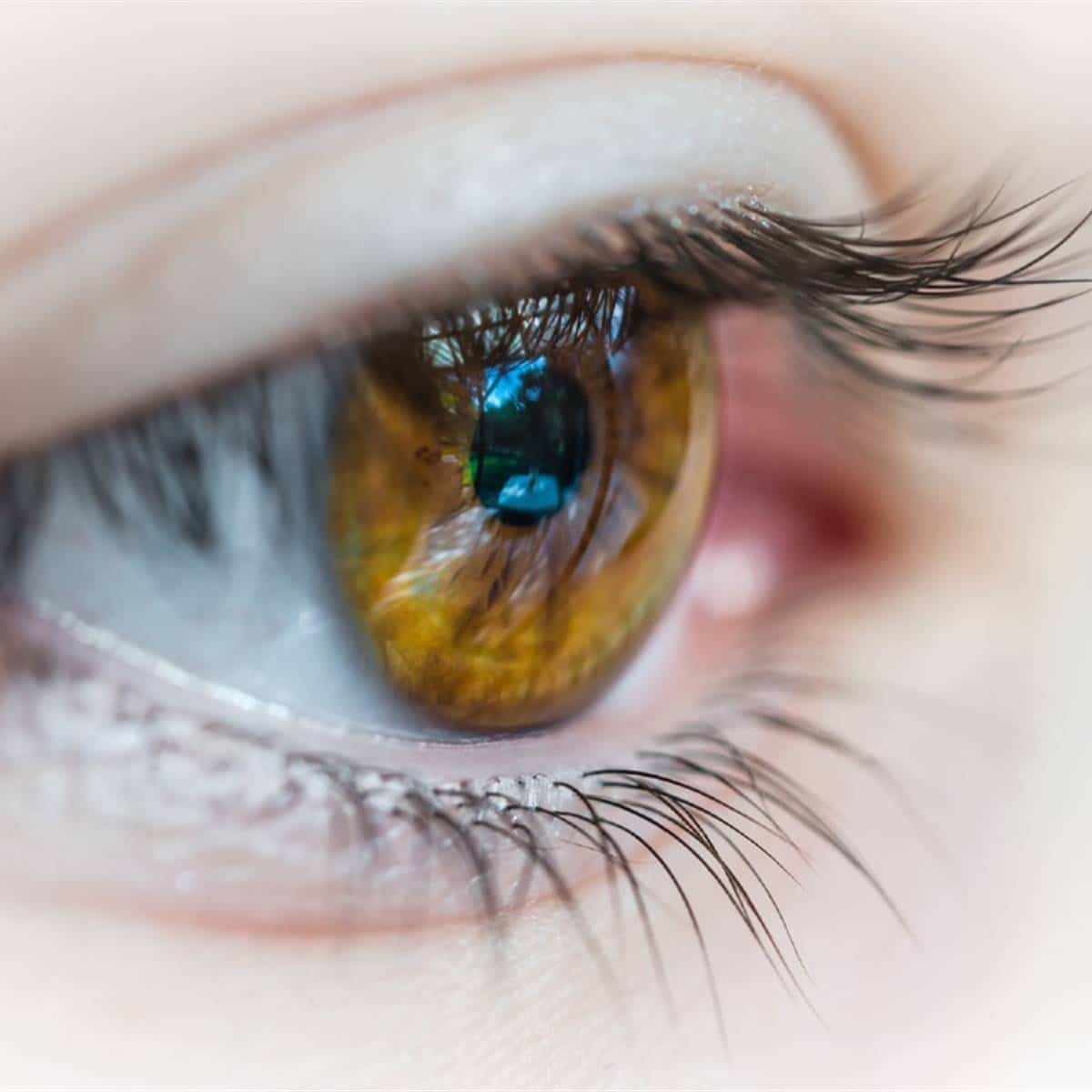 Señales de que tus ojos no están tan sanos como crees