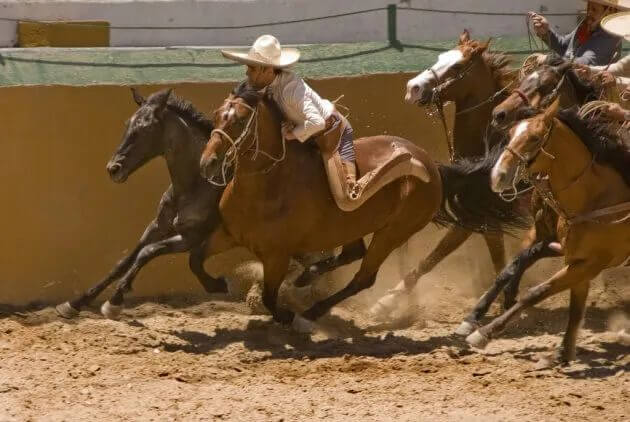 Regresa la Charrería Victoria