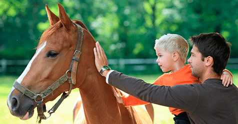 Equinoterapia, la terapia con caballos