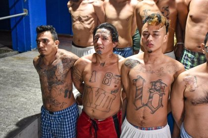 Más de 15 mil pandilleros fueron capturados en un mes: Bukele