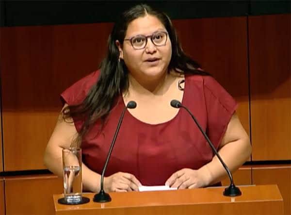 Exige senadora al INE sea imparcial en elección de Tamaulipas