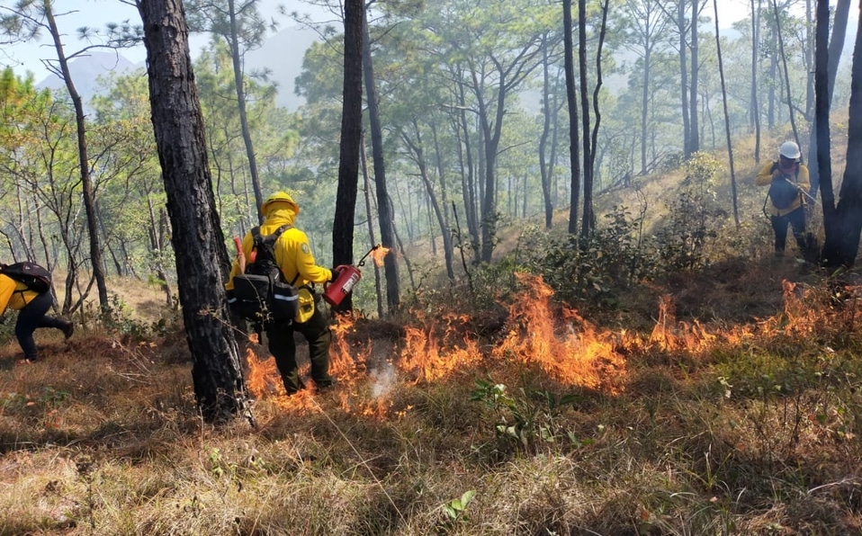 Activos, 4 de 17 incendios forestales: PC