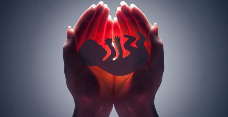 Proponen consulta popular para tema de aborto