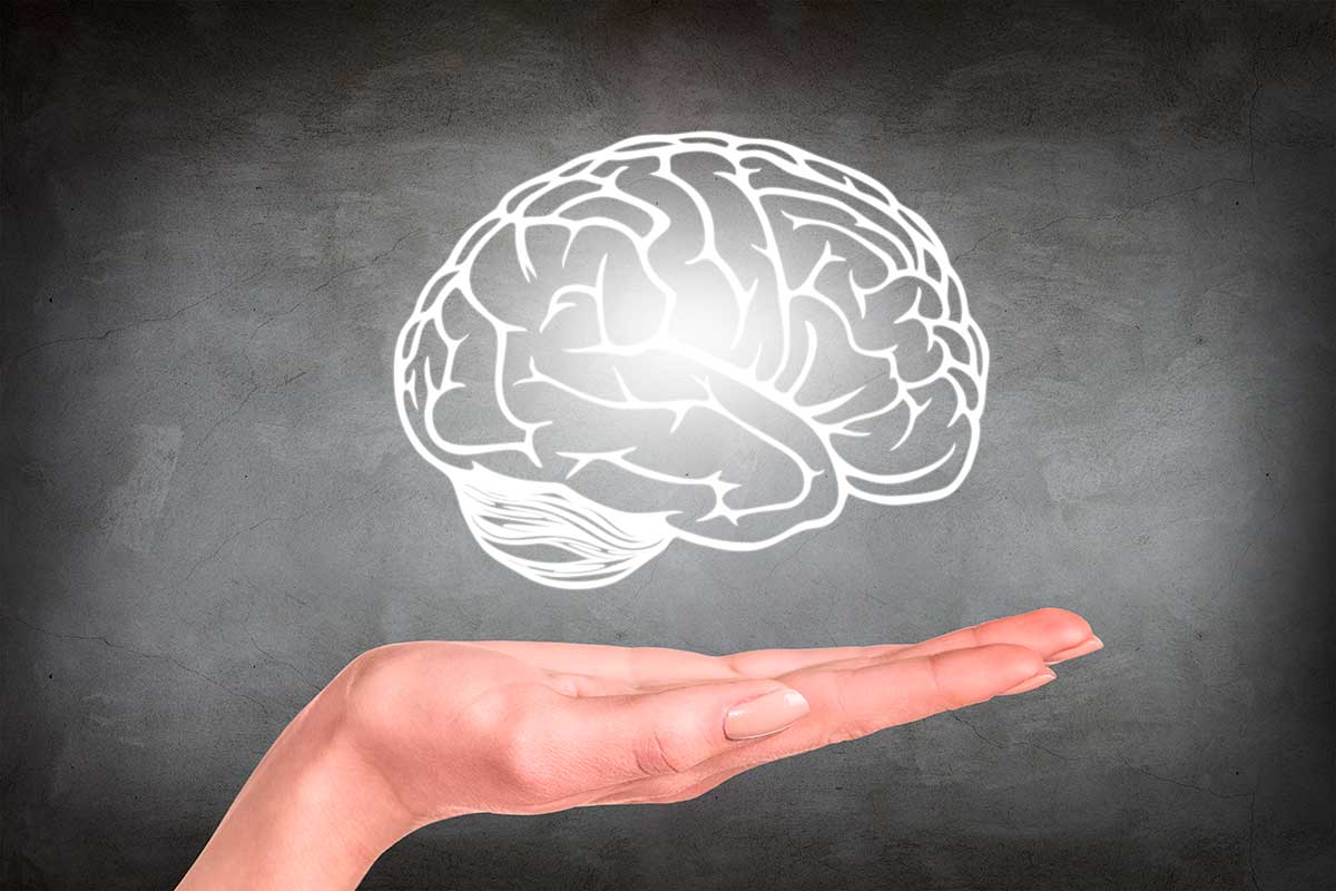 El alimento que ayuda a mejorar la memoria y la salud del cerebro, según Harvard