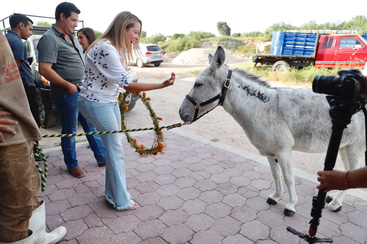 RESPONDE CIUDADANÍA A CAMPAÑA DE RESCATE DE ANIMALES DEL GOBIERNO MUNICIPAL