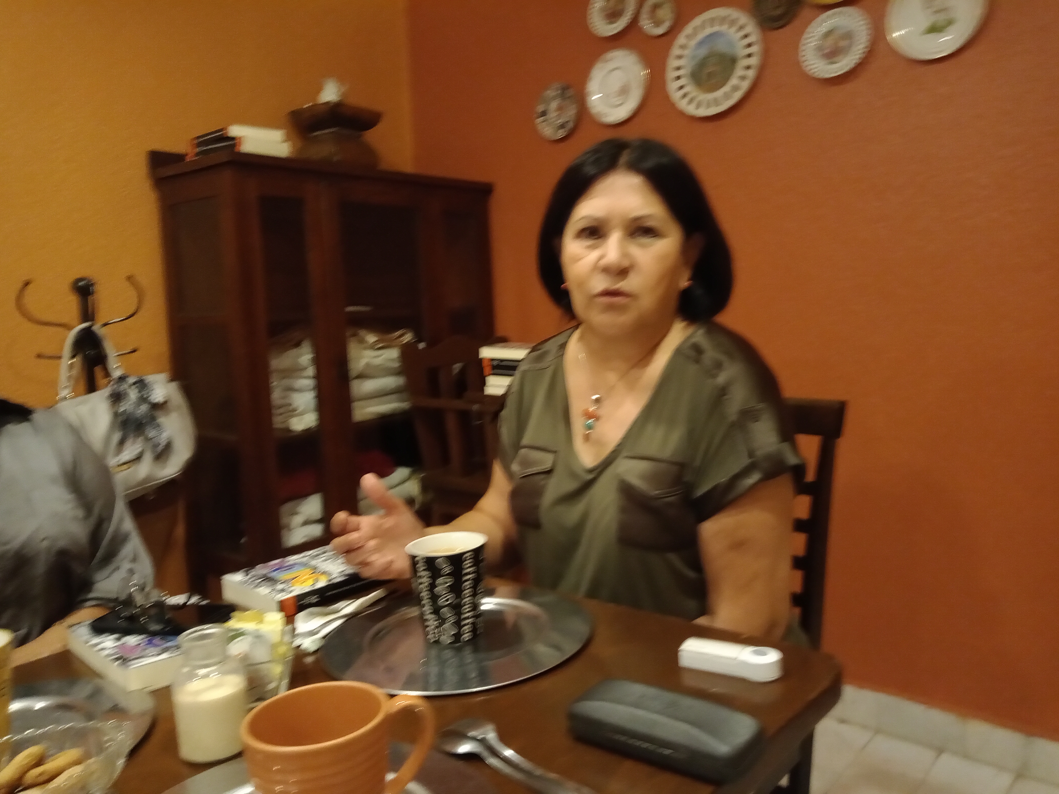 Presentan Libro «Sistema Nacional e Internacional de Derechos Humanos»