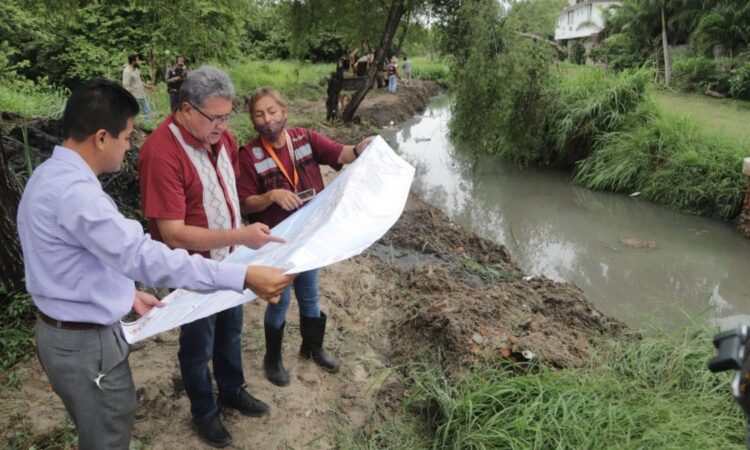 Participa Altamira en proyecto para controlar sobrepoblación de cocodrilos