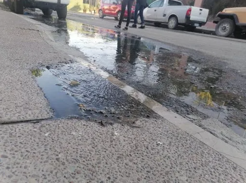 El intenso y desagradable olor de las flores