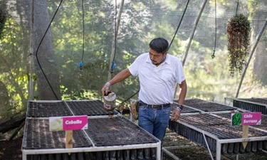 Presenta la Dirección de Desarrollo Comunitario del DIF Tamaulipas los programas asistenciales para el 2023