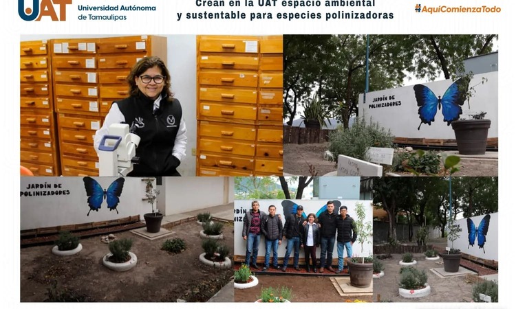 Crean en la UAT espacio ambiental y sustentable para especies polinizadoras