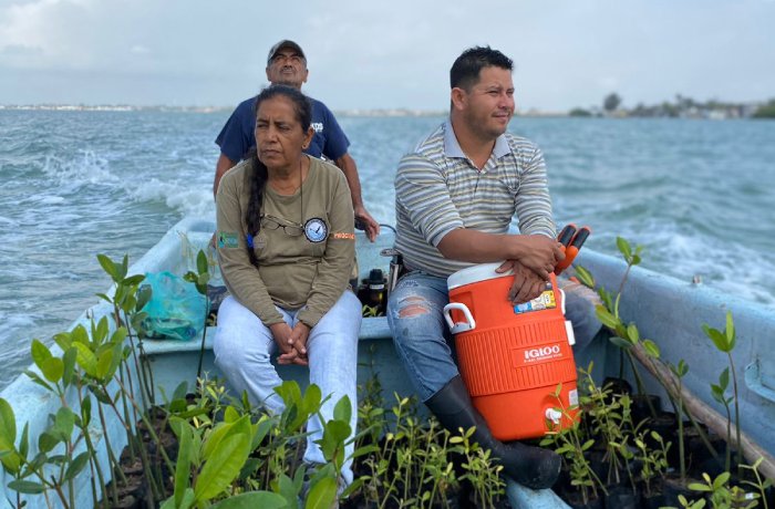 Reforestan litoral costero tamaulipeco