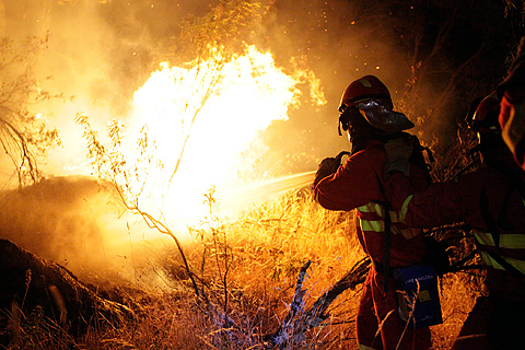 Estados Unidos y Sudáfrica viajarán a Canadá para ayudar a combatir incendios forestales