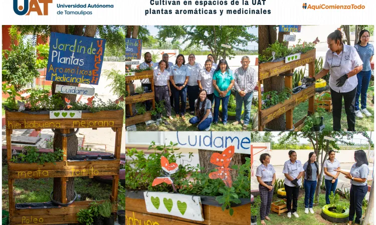 Cultivan en espacios de la UAT plantas aromáticas y medicinales