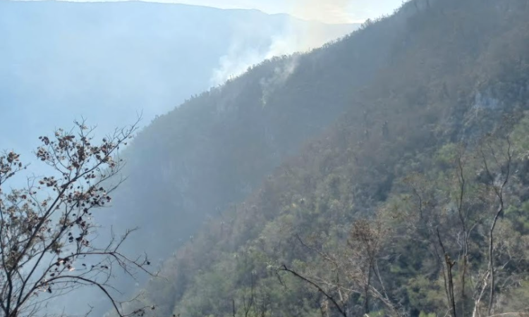 Continúa combate de incendios forestales