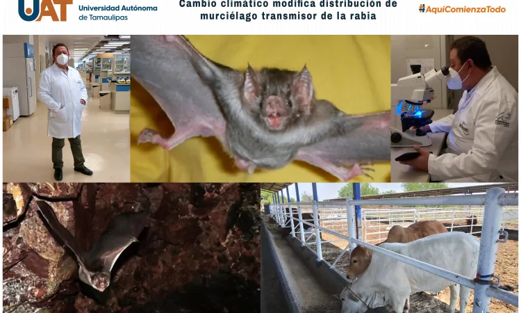 Cambio climático modifica distribución de murciélago transmisor de la rabia