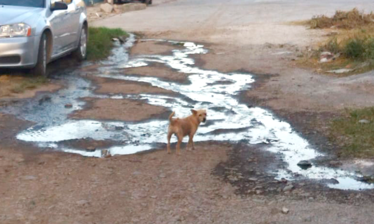 Fuga de aguas negras en la Colonia Luis Echeverría