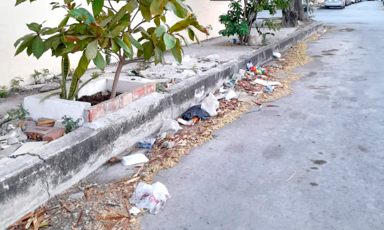 Aceras llenas de basura ¿Dónde están los 12 nuevos camiones recolectores?