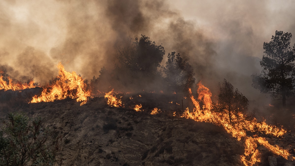 Tras incendios forestales miles de personas fueron evacuadas en Atenas