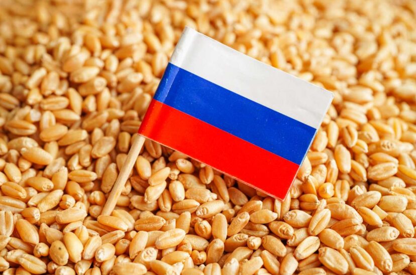 Ucrania acusa a Rusia de subir intencionalmente el precio del grano