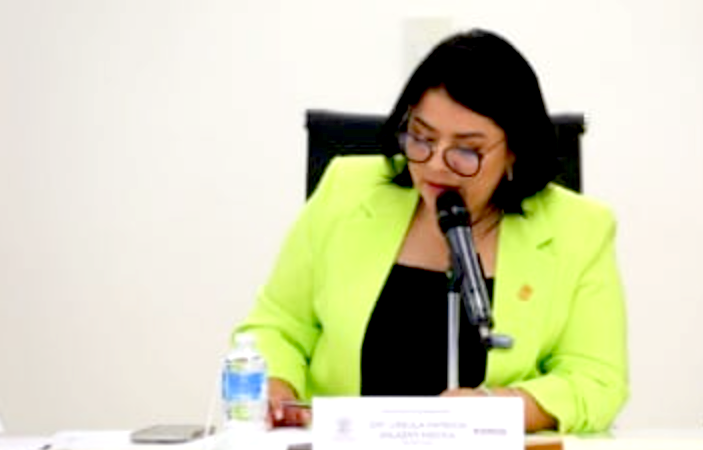 Avanza reforma constitucional para fomentar la cultura de la paz entre estudiantes