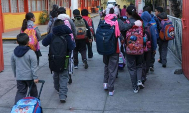 ANEP deja a Escuelas particulares en libertad para usar libros de texto gratuitos