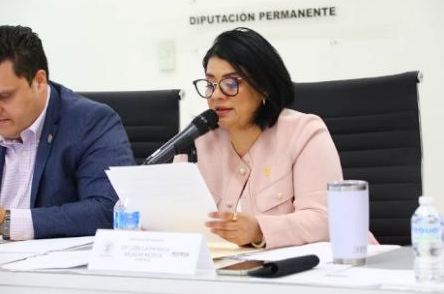 A propuesta de la Diputada Úrsula Salazar…Con reformas contribuyen al combate de la violencia obstétrica