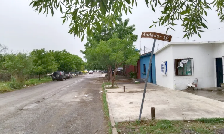 Ratas hacen su agosto en el Infonavit Adelitas