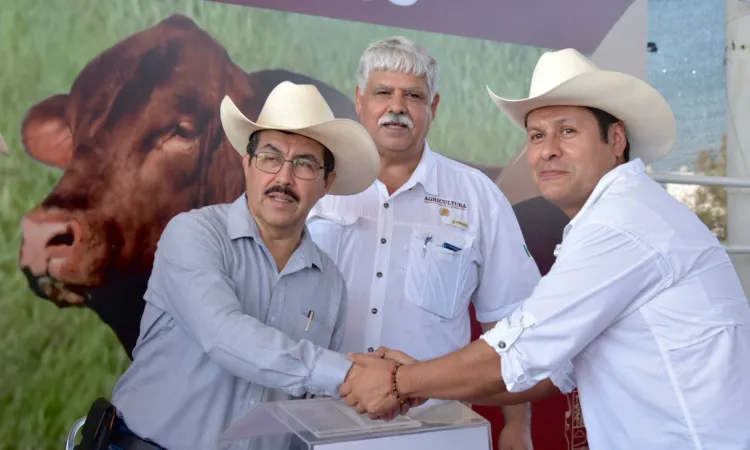 Renuevan hatos ganaderos de Tamaulipas con Programa de Mejoramiento Genético