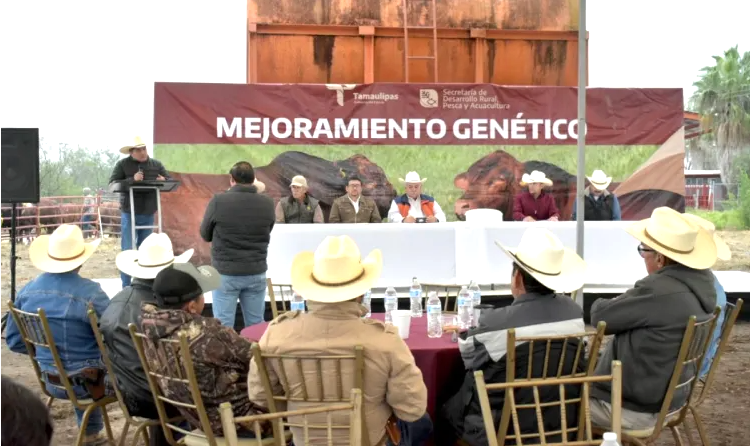 Fortalece Gobierno del Estado hatos ganaderos de los municipios de Burgos, Méndez y San Fernando