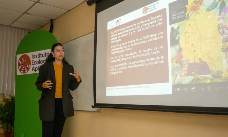 Realiza UAT estudios para proteger ruta migratoria de la mariposa monarca
