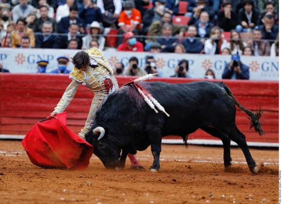 Suprema Corte aprueba regreso de las corridas de toros