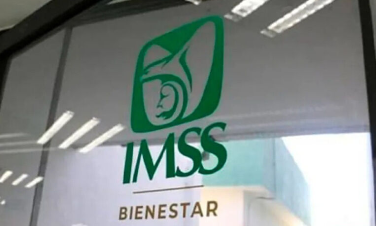 Renuncia de Bermea a IMSS Bienestar retrasará basificaciones