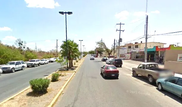 Bulevares de Victoria, desolados; hace falta programas de reforestación que involucre a ciudadanos