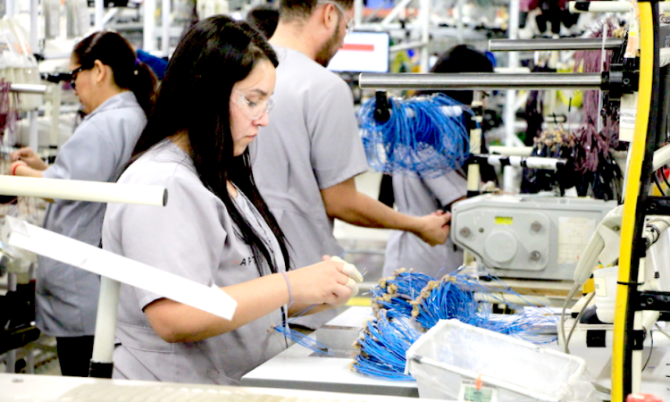 Escala Tamaulipas al séptimo lugar en Evaluación Nacional del Empleo