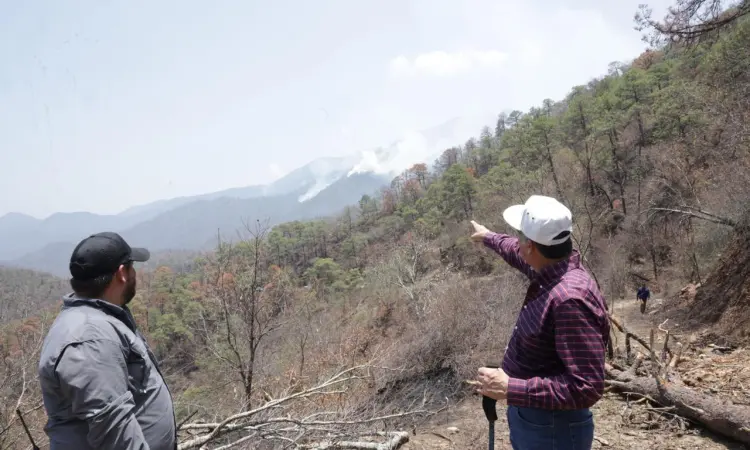 Supervisa gobernador trabajos en el Cañón del Novillo; incendio controlado al 65%