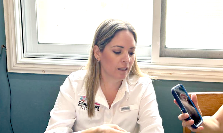 Espacios públicos y áreas verdes en Victoria están descuidadas y son inseguras: Ale Cárdenas