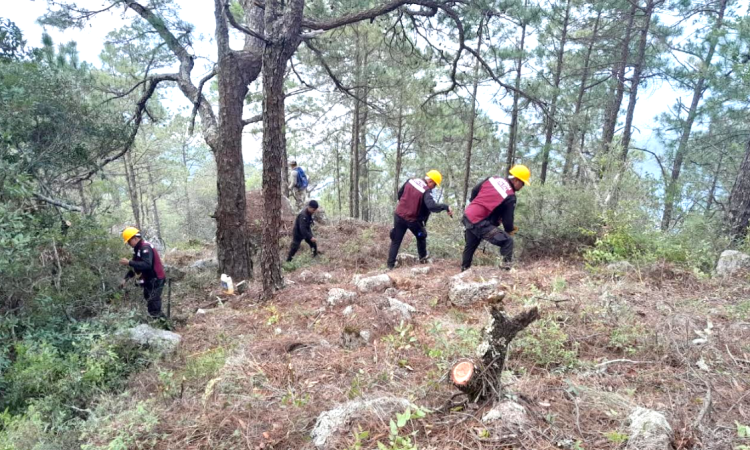 Continúan brigadistas en el Cañón del Novillo
