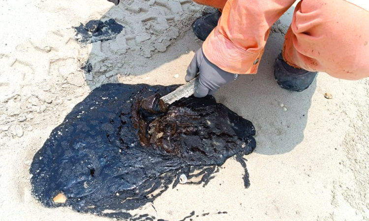Investiga Procuraduría Ambiental y Urbana presencia de hidrocarburo en playa Miramar y Tesoro.